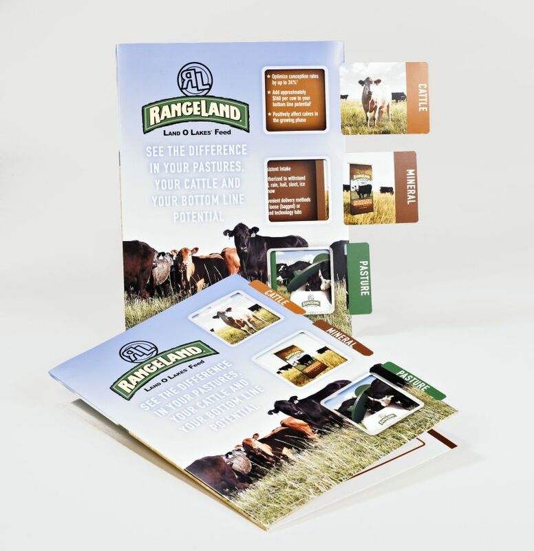 Sneller Creative Promotions - Interactive Marketing Collateral