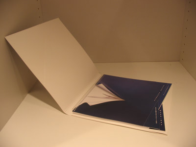 Dimensional Paper Promotional Packaging by Sneller